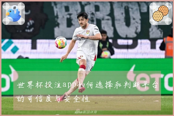 世界杯投注app如何选择和判断平台的可信度与安全性