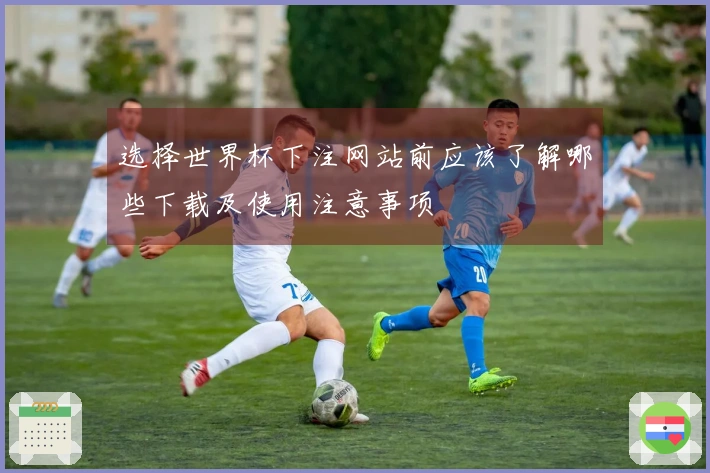 选择世界杯下注网站前应该了解哪些下载及使用注意事项