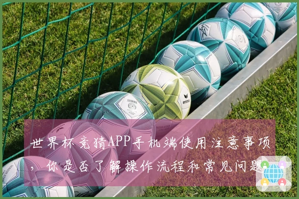 世界杯竞猜APP手机端使用注意事项,你是否了解操作流程和常见问题?
